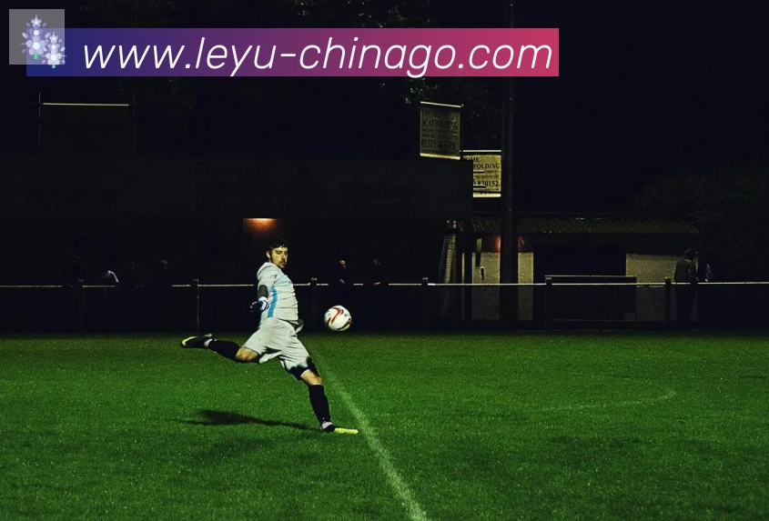 乐鱼leyu品牌故事