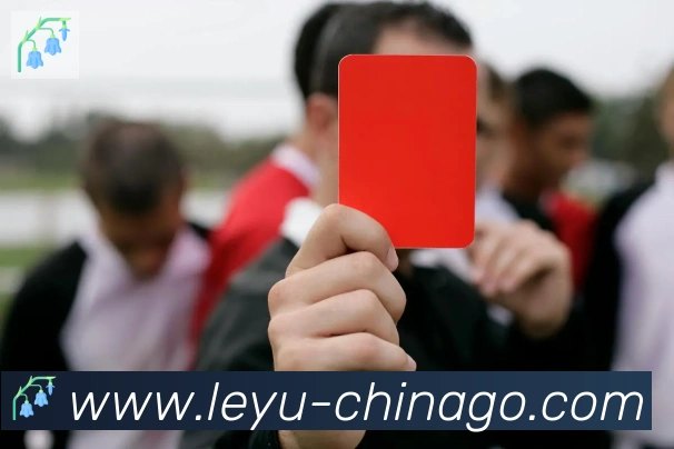 乐鱼leyu服务体系