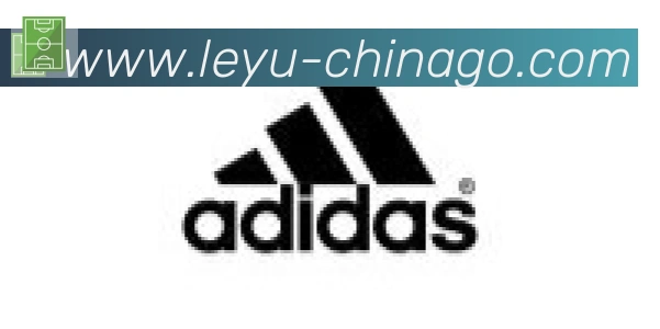 乐鱼leyu合作伙伴