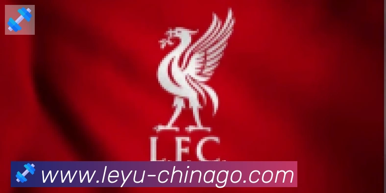 乐鱼leyu合作伙伴